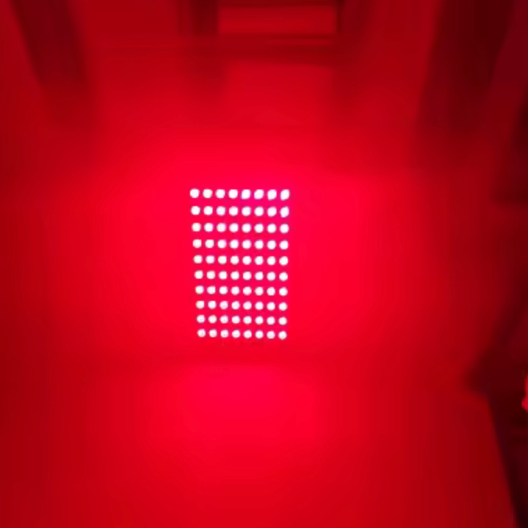 LuminaPro Panel - 660nm 850nm Red Light Therapy Device 80 LED Body Wellness